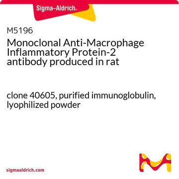 Monoclonal Anti-Macrophage Inflammatory Protein-2 antibody produced in rat clone 40605, purified immunoglobulin, lyophilized powder