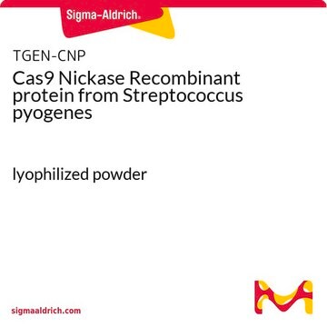 Cas9 Nickase Recombinant protein from Streptococcus pyogenes lyophilized powder