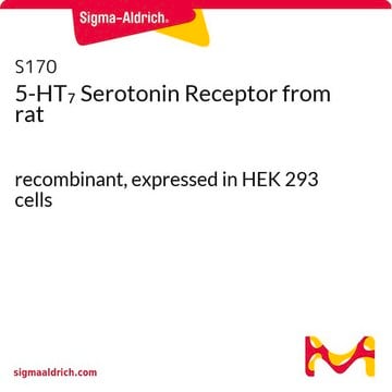 5-HT7 Serotonin Receptor from rat recombinant, expressed in HEK 293 cells