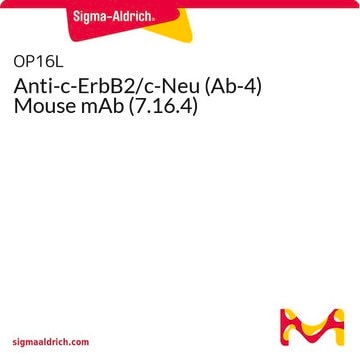 Anti-c-ErbB2/c-Neu (Ab-4) Mouse mAb (7.16.4)