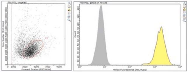 Anti-PD-1 Antibody, clone G4 clone G4, from hamster(Armenian)