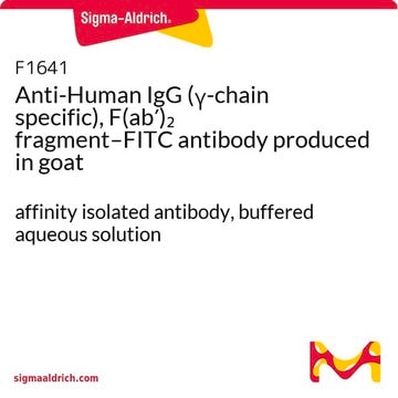 抗-人 IgG（&#947;- 链特异性）、2 片段–FITC 山羊抗 affinity isolated antibody, buffered aqueous solution