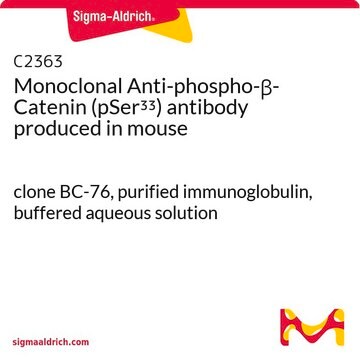 Monoclonal Anti-phospho-&#946;-Catenin (pSer33) antibody produced in mouse clone BC-76, purified immunoglobulin, buffered aqueous solution