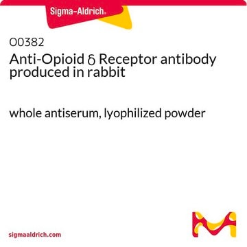 Anti-Opioid &#948; Receptor antibody produced in rabbit whole antiserum, lyophilized powder