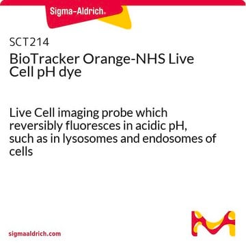 Colorant orange pour le pH de cellules vivantes BioTracker-NHS Live Cell imaging probe which reversibly fluoresces in acidic pH, such as in lysosomes and endosomes of cells