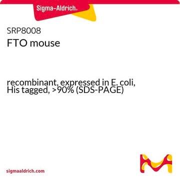 FTO mouse recombinant, expressed in E. coli, His tagged, &gt;90% (SDS-PAGE)