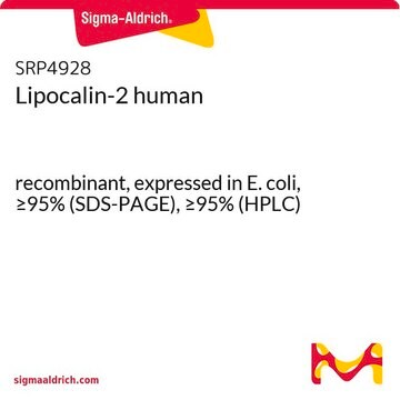 Lipocalin-2 human recombinant, expressed in E. coli, &#8805;95% (SDS-PAGE), &#8805;95% (HPLC)