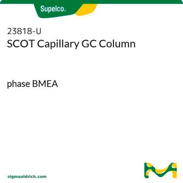 Colonne capillaire SCOT pour GC phase BMEA