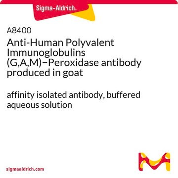 Anti-Human Polyvalent Immunoglobulins (G,A,M)&#8722;Peroxidase antibody produced in goat affinity isolated antibody, buffered aqueous solution