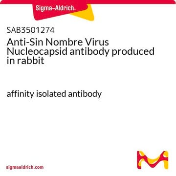 Anti-Sin Nombre Virus Nucleocapsid antibody produced in rabbit affinity isolated antibody