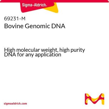 Bovine Genomic DNA High molecular weight, high purity DNA for any application