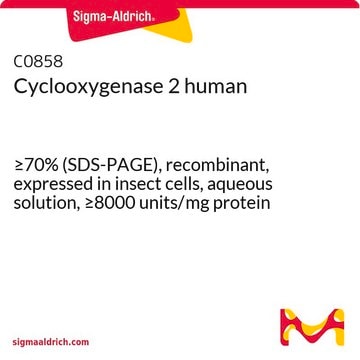 环氧化酶 2 人 &#8805;70% (SDS-PAGE), recombinant, expressed in insect cells, aqueous solution, &#8805;8000&#160;units/mg protein