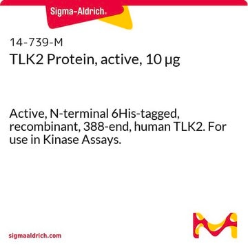 TLK2 Protein, active, 10 &#181;g Active, N-terminal 6His-tagged, recombinant, 388-end, human TLK2. For use in Kinase Assays.