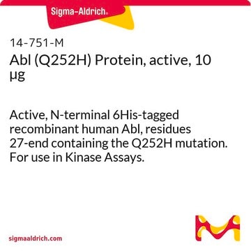 Abl (Q252H) Protein, active, 10 &#181;g Active, N-terminal 6His-tagged recombinant human Abl, residues 27-end containing the Q252H mutation. For use in Kinase Assays.