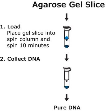 GenElute&#8482; Agarose Spin Columns sufficient for 70&#160;purifications