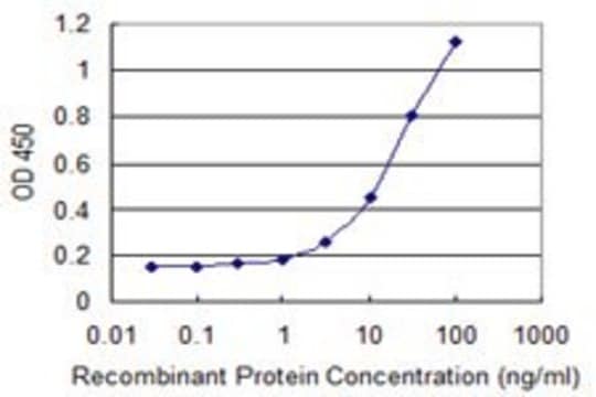 Monoclonal Anti-NNAT antibody produced in mouse clone 1B9, purified immunoglobulin, buffered aqueous solution