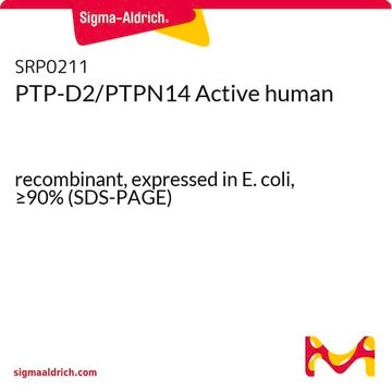 PTP-D2/PTPN14 Active human recombinant, expressed in E. coli, &#8805;90% (SDS-PAGE)