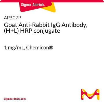 Anticorps de chèvre anti-IgG de lapin (chaînes H + L) conjugué à la HRP 1&#160;mg/mL, Chemicon&#174;