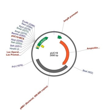 PUC19 - 高拷贝蓝/白克隆质粒 plasmid vector for molecular cloning