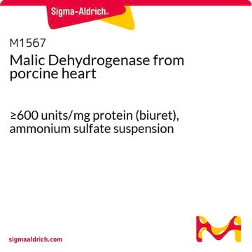 Äpfelsäure-Dehydrogenase aus Schweineherz &#8805;600&#160;units/mg protein (biuret), ammonium sulfate suspension