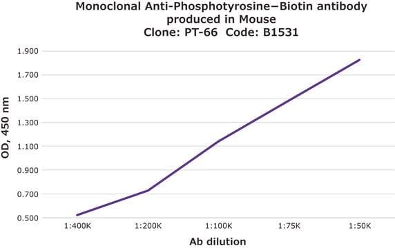 Monoclonal Anti-Phosphotyrosine&#8722;Biotin antibody produced in mouse clone PT-66, purified immunoglobulin, buffered aqueous solution