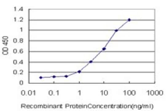 Monoclonal Anti-CLDN5 antibody produced in mouse clone 3D8, purified immunoglobulin, buffered aqueous solution