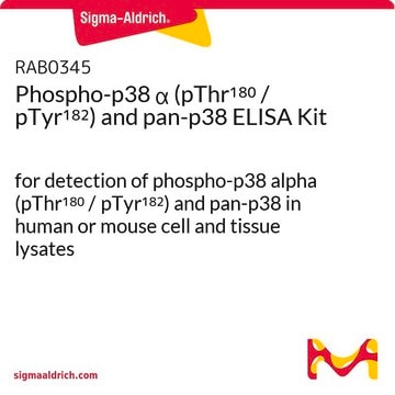 Phospho-p38 &#945; (pThr180 / pTyr182) and pan-p38 ELISA Kit for detection of phospho-p38 alpha (pThr180 / pTyr182) and pan-p38 in human or mouse cell and tissue lysates