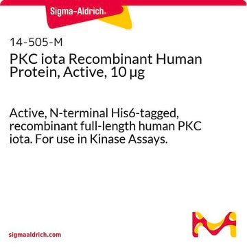 PKC iota Recombinant Human Protein, Active, 10 &#181;g Active, N-terminal His6-tagged, recombinant full-length human PKC iota. For use in Kinase Assays.