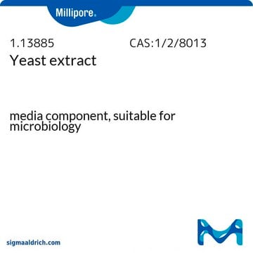 Yeast extract media component, suitable for microbiology