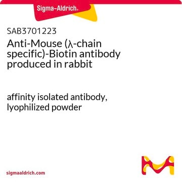 Anti-Mouse (&#955;-chain specific)-Biotin antibody produced in rabbit affinity isolated antibody, lyophilized powder