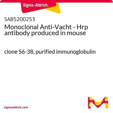 Monoclonal Anti-Vacht - Hrp antibody produced in mouse clone S6-38, purified immunoglobulin