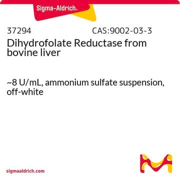 Dihydrofolate Reductase from bovine liver ~8&#160;U/mL, ammonium sulfate suspension, off-white