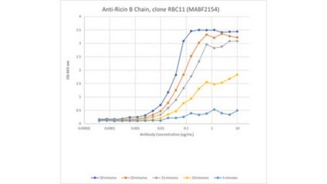 Anti-Ricin B Chain Antibody, clone RBC11 clone RBC11, from mouse