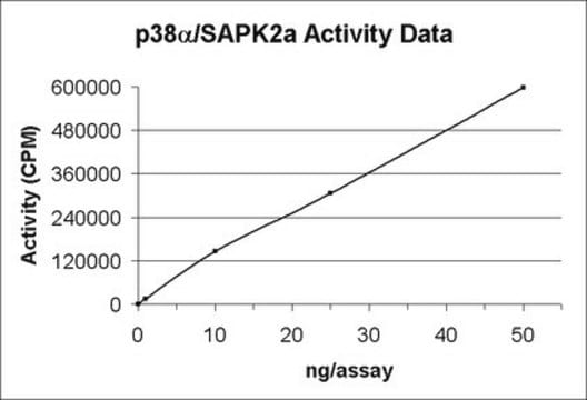 Białko p38α/SAPK2a, aktywne, 10 µg Active, N-terminal GST tagged, recombinant, full length p38&#945;/SAPK2a, for use in Kinase Assays.