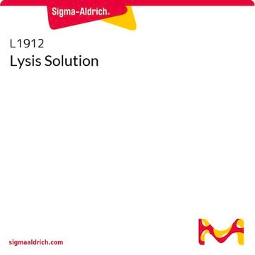 Lysis Solution