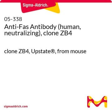 Anticorpo anti-Fas (umano, neutralizzante), clone ZB4 clone ZB4, Upstate&#174;, from mouse