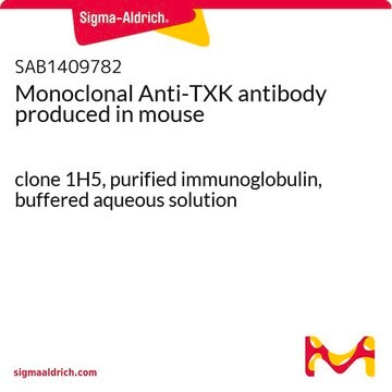 Monoclonal Anti-TXK antibody produced in mouse clone 1H5, purified immunoglobulin, buffered aqueous solution