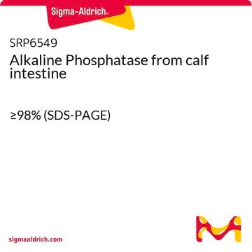 Alkaline Phosphatase from calf intestine &#8805;98% (SDS-PAGE)