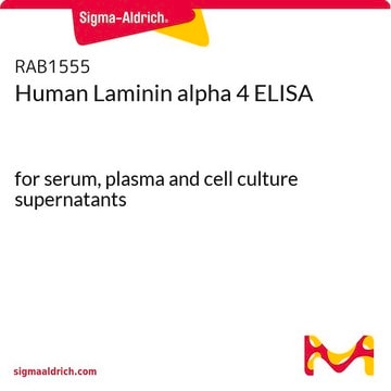 Human Laminin&nbsp;alpha 4 ELISA for serum, plasma and cell culture supernatants