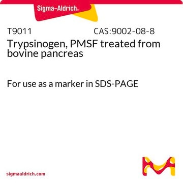 Trypsinogen, PMSF treated from bovine pancreas For use as a marker in SDS-PAGE