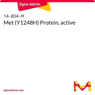 Met (Y1248H) Protein, active