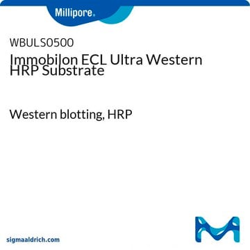 Substrat de HRP pour western blot Immobilon ECL&nbsp;Ultra Western blotting, HRP