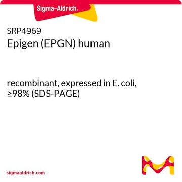 Epigen (EPGN) human recombinant, expressed in E. coli, &#8805;98% (SDS-PAGE)