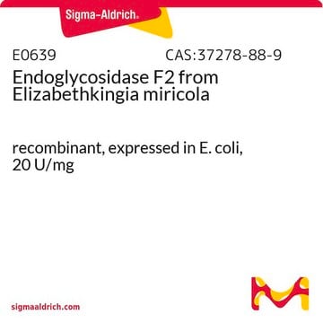 Endoglycosidase F2 from Elizabethkingia miricola recombinant, expressed in E. coli, 20&#160;U/mg