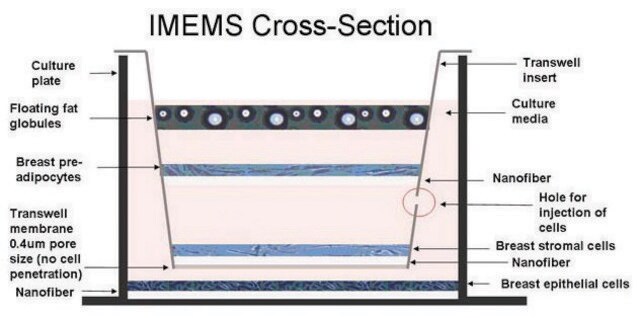 Nanofiber multiwell plate, Interactive MicroEnvironMent System (IMEMS) size 6&#160;wells, for co-culture, random oriented nanofibers