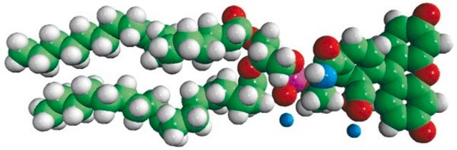 18:1 PE CF Avanti Research&#8482; - A Croda Brand 810332P, powder