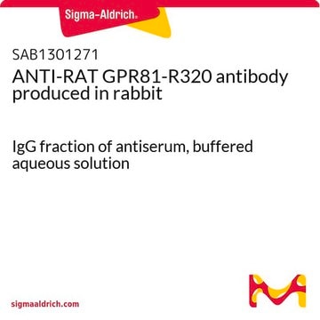 ANTI-RAT GPR81-R320 antibody produced in rabbit IgG fraction of antiserum, buffered aqueous solution