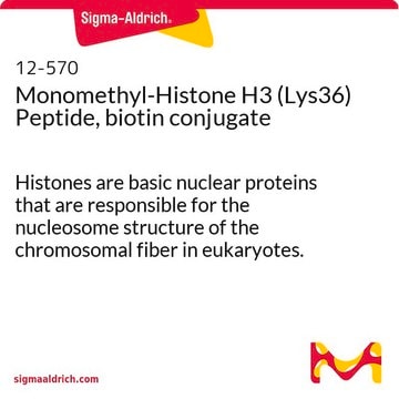 Monomethyl-Histone H3 (Lys36) Peptide, biotin conjugate Histones are basic nuclear proteins that are responsible for the nucleosome structure of the chromosomal fiber in eukaryotes.