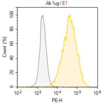 Anti-CD11a Antibody, clone TS2/4