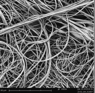 Zirconium oxide nanofibers